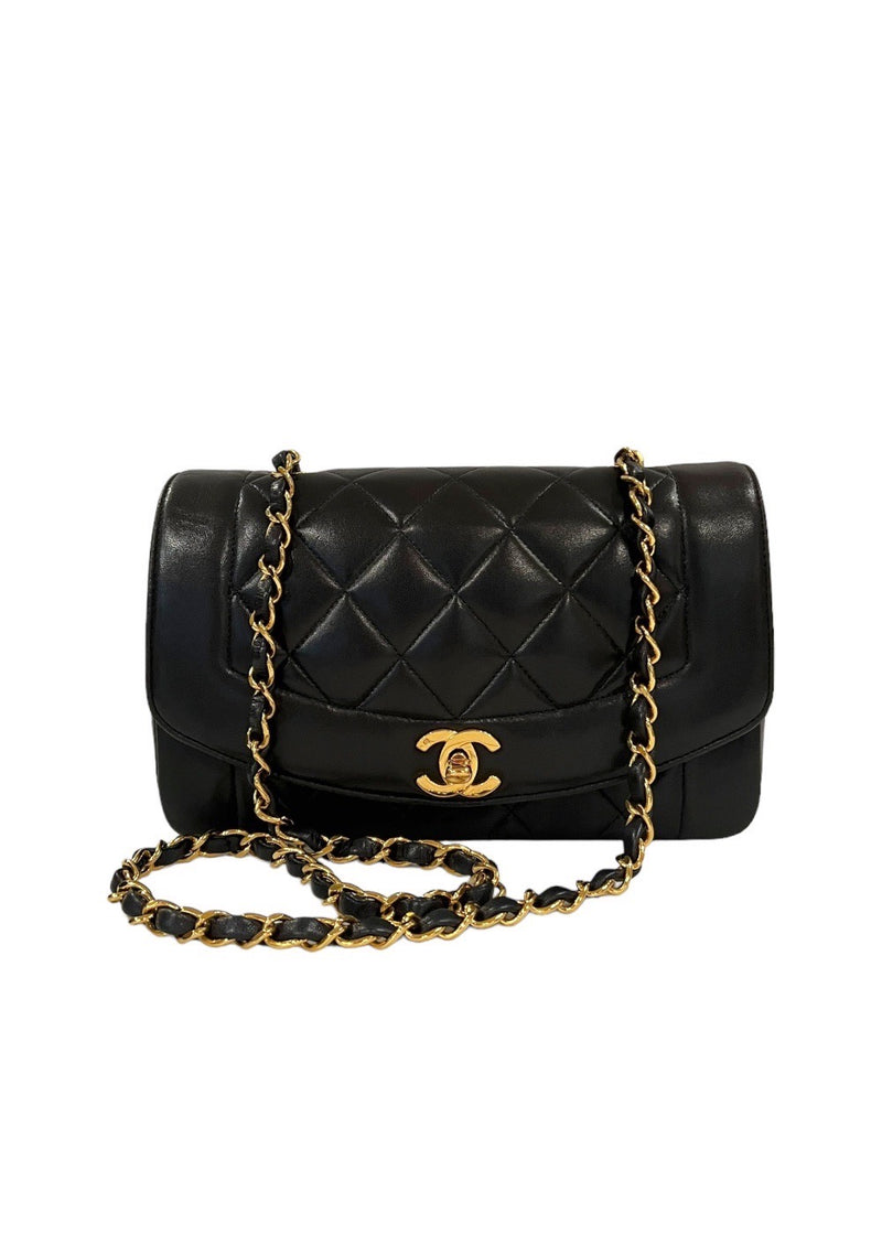 VINTAGE CHANEL DIANA BAG - Main Image